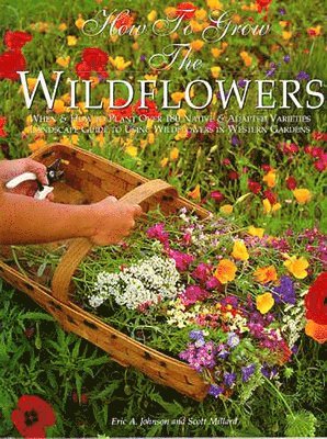 Eric A. Johnson, Scott Millard, Eric A Johnson - How to Grow the Wildflowers, Häftad