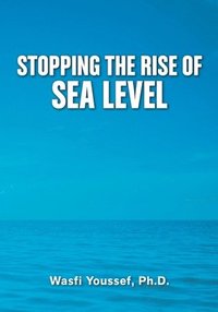 bokomslag Stopping the Rise of Sea Level
