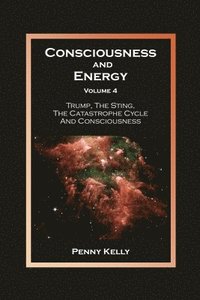 bokomslag Consciousness and Energy, Volume 4