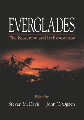 bokomslag Everglades