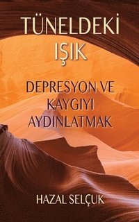 bokomslag Tüneldek? I?ik: Depresyon ve Kayg?y? Ayd?nlatmak