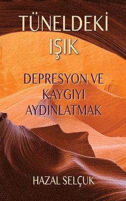 bokomslag Tüneldek? I?ik: Depresyon ve Kayg?y? Ayd?nlatmak