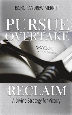 Pursue, Overtake, and Reclaim: A Divine Strategy for Victory