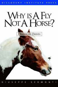 bokomslag Why Is a Fly Not a Horse?
