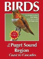 bokomslag Birds of the Puget Sound Region - Coast to Cascades