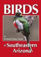 Birds of Southeastern Arizona 1