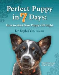 bokomslag Perfect Puppy in 7 Days