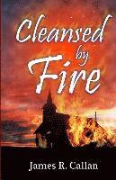 Cleansed By Fire: A Father Frank Mystery 1