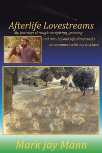 bokomslag Afterlife Lovestreams