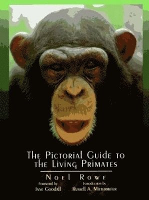 Noel Rowe - Pictorial Guide to the Living Primates, Inbunden
