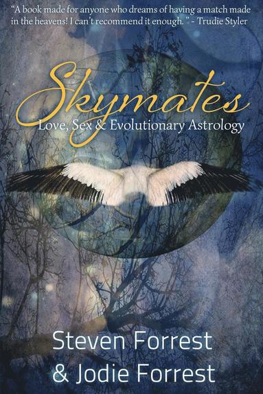 bokomslag Skymates