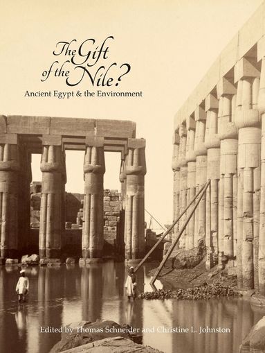 Christine L. Johnston, Thomas Schneider - Gift of the Nile?, Häftad