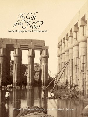 bokomslag The Gift of the Nile?