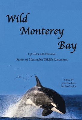 bokomslag Wild Monterey Bay