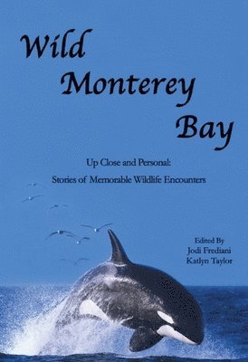 bokomslag Wild Monterey Bay: Up Close and Personal Stories of Memorable Wildlife Encounters: Up Close and Personal Memorable Wildlife Encounters