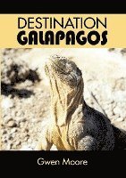 bokomslag Destination Galapagos