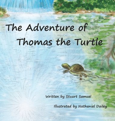 The Adventure of Thomas the Turtle 1