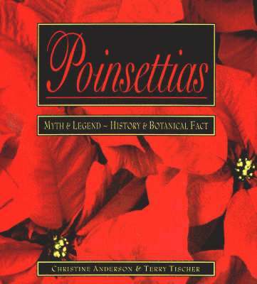 Poinsettias the December Flower