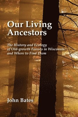 bokomslag Our Living Ancestors