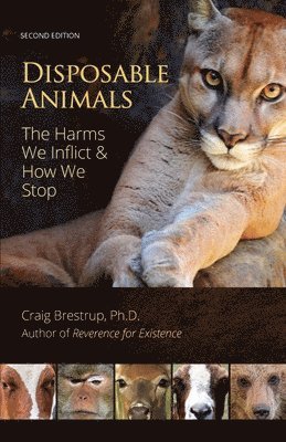 Disposable Animals 1