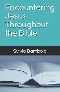bokomslag Encountering Jesus Throughout the Bible