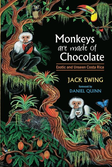 bokomslag Monkeys Are Made of Chocolate