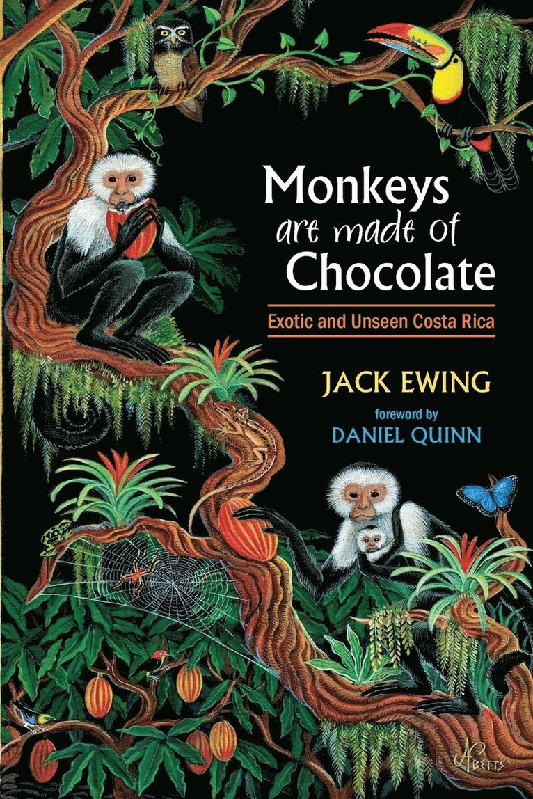 Monkeys Are Made of Chocolate 1