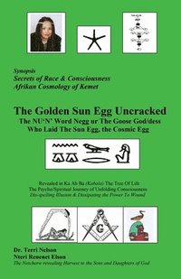 bokomslag The Golden Sun Egg Uncracked The NU'N' Word Negg ur