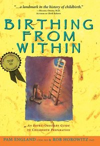 bokomslag Birthing from Within: An Extra-Ordinary Guide to Childbirth Preparation