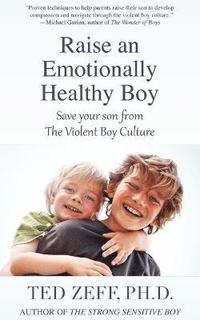 bokomslag Raise an Emotionally Healthy Boy