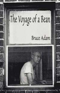 bokomslag The Voyage of a Bean