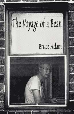 The Voyage of a Bean 1