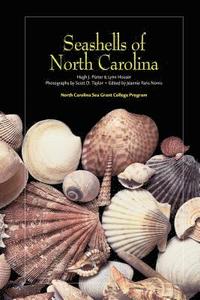 bokomslag Seashells of North Carolina