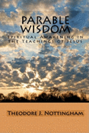 bokomslag Parable Wisdom: Spiritual Awakening in the Teachings of Jesus