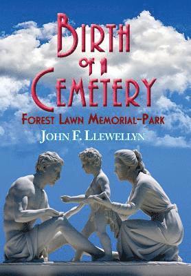 bokomslag Birth of a Cemetery