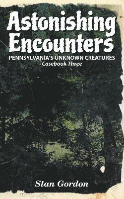 Stan Gordon - Astonishing Encounters, Häftad