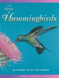 bokomslag A Dazzle of Hummingbirds