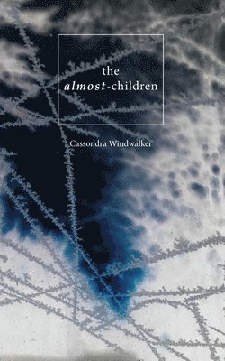 bokomslag The Almost-Children