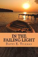 bokomslag In the Failing Light: a memoir of love and cancer