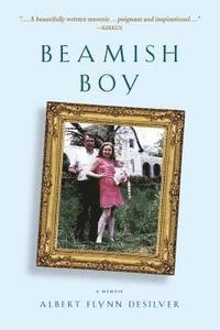 bokomslag Beamish Boy: A Memoir of Recovery and Awakening