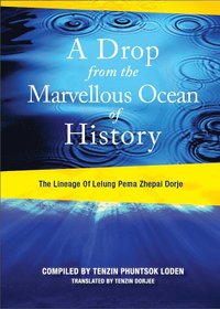 bokomslag A Drop from the Marvelous Ocean of History