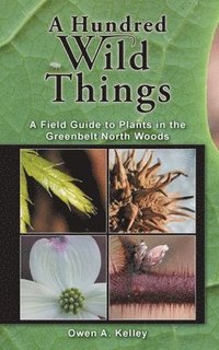 bokomslag A Hundred Wild Things: A Field Guide to Plants in the Greenbelt North Woods
