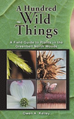 A Hundred Wild Things: A Field Guide to Plants in the Greenbelt North Woods 1