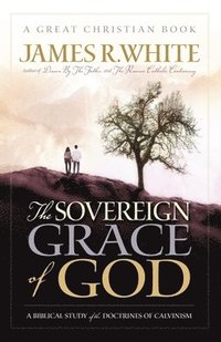 bokomslag The Sovereign Grace of God