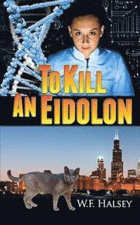 bokomslag To Kill an Eidolon