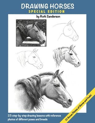 Ruth Sanderson - Drawing Horses, Häftad