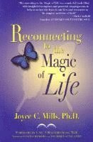 Reconnecting to the Magic of Life 1