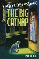 The Big Catnap 1