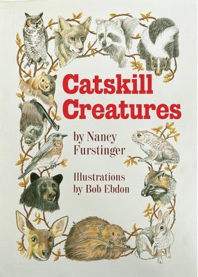bokomslag Catskill Creatures