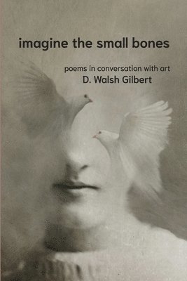 D Walsh Gilbert - imagine the small bones, Häftad